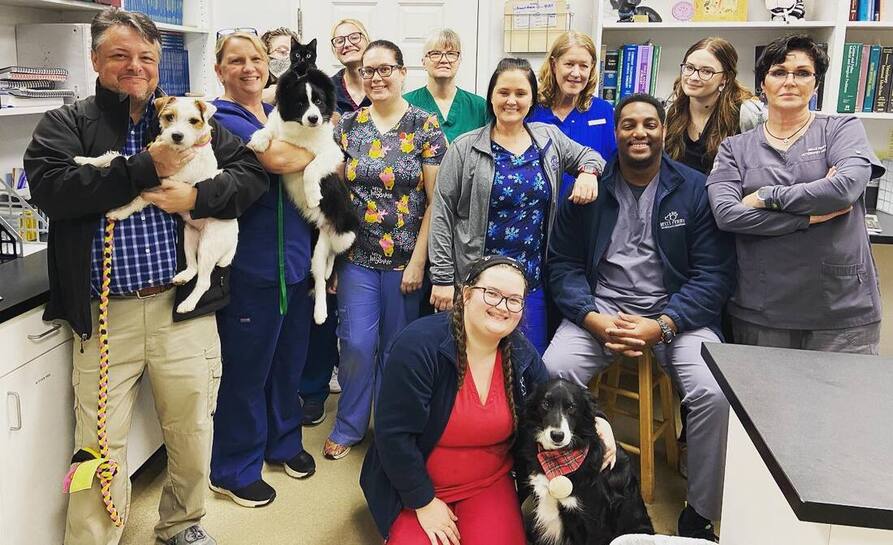 Bells Ferry Veterinary Hospital Team