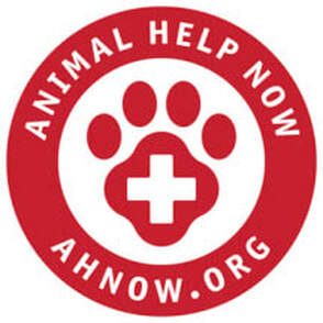 Animal Help Now